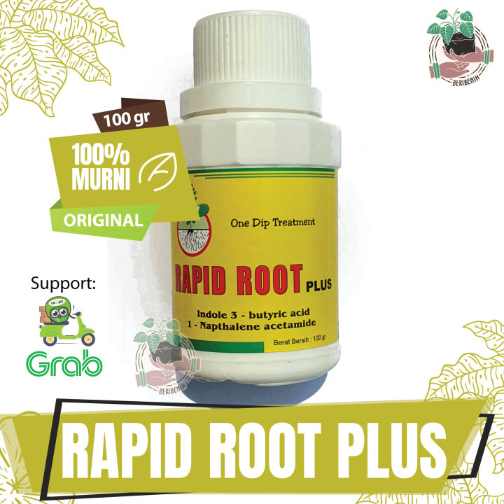 Rapid Root Plus Hormon Penumbuh Akar Tanaman Cangkok Stek Root Up