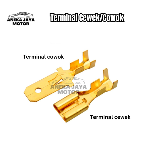 Terminal Cewek Sekun Gepeng Cowok Lebar Skun Klakson Baut Isi