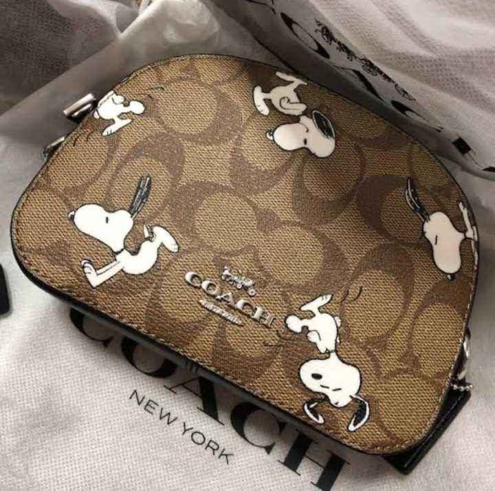 Coach X Peanuts Mini Serena Crossbody In Signature Canvas With Snoopy