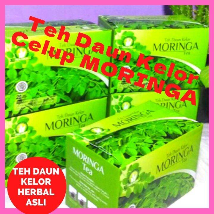 Teh Daun Kelor Celup Moringa Teh Daun Kelor Herbal Alami