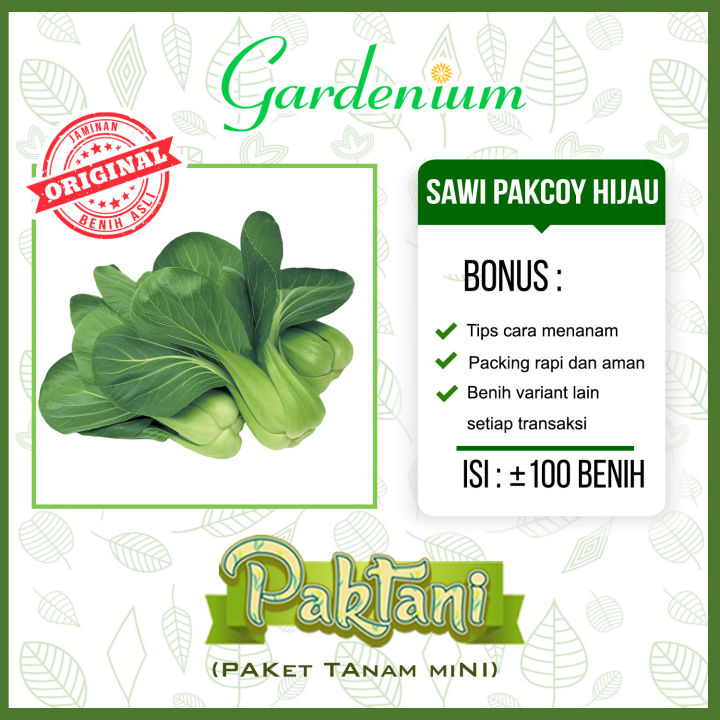 Benih Sawi Pakcoy Hijau Bok Choy Hijau Sayuran Unggul Paktani