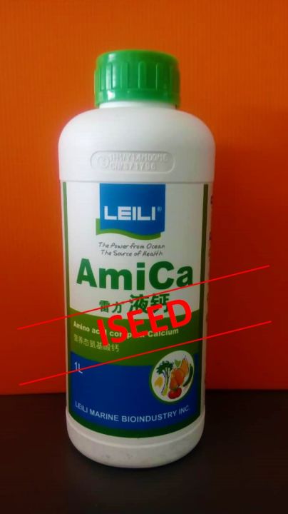 LEILI AMICA 1 LITER Lazada