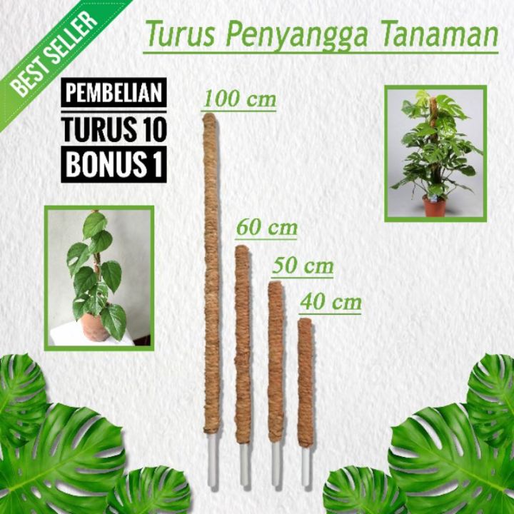 Turus Penyangga Tanaman Turus Tanaman Penyangga Tanaman Rambat Pipa