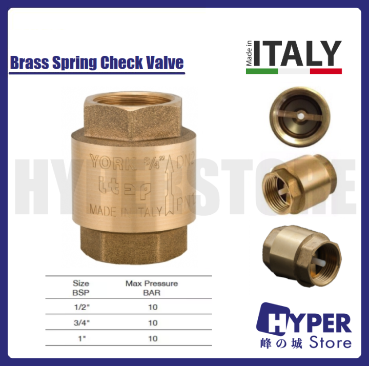 Italy York Brass Spring Check Valve Non Return Valve Foot Valve