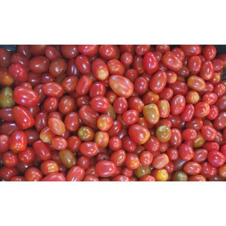 Tomat Cherry 1kg Lazada Indonesia