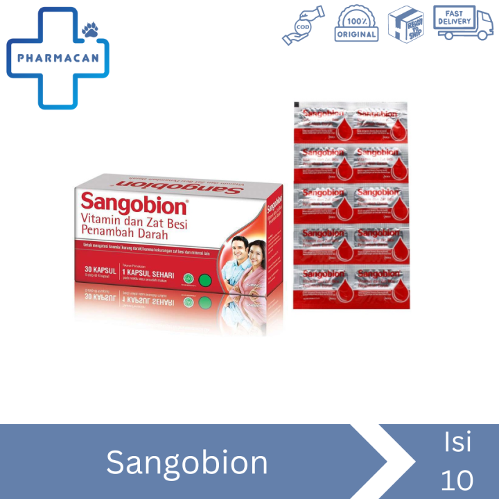 Sangobion Box Besar Suplemen Vitamin Dan Zat Besi Penambah Darah