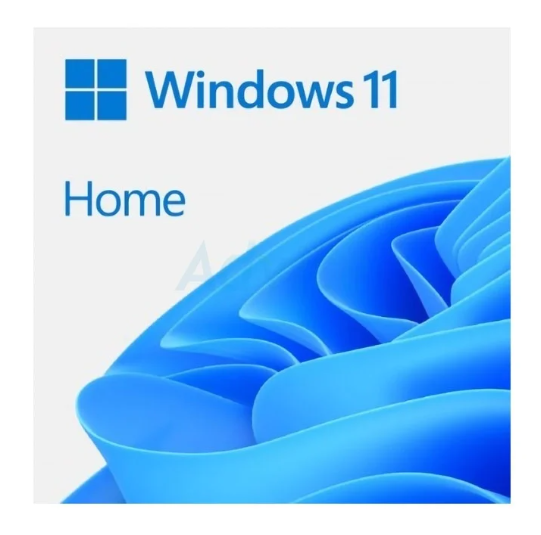 SOFTWARE MS WINDOWS 11 HOME 32bit 64bit Eng USB HAJ 00090 FPP