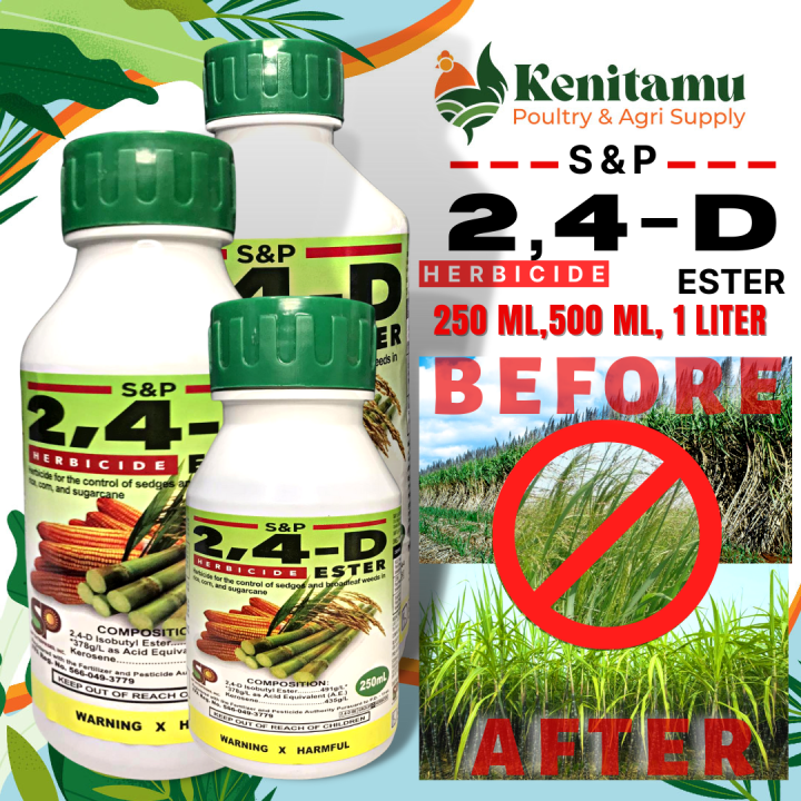 2 4 D ESTER HERBICIDE 250 ML 500ML 1000 ML Lazada PH