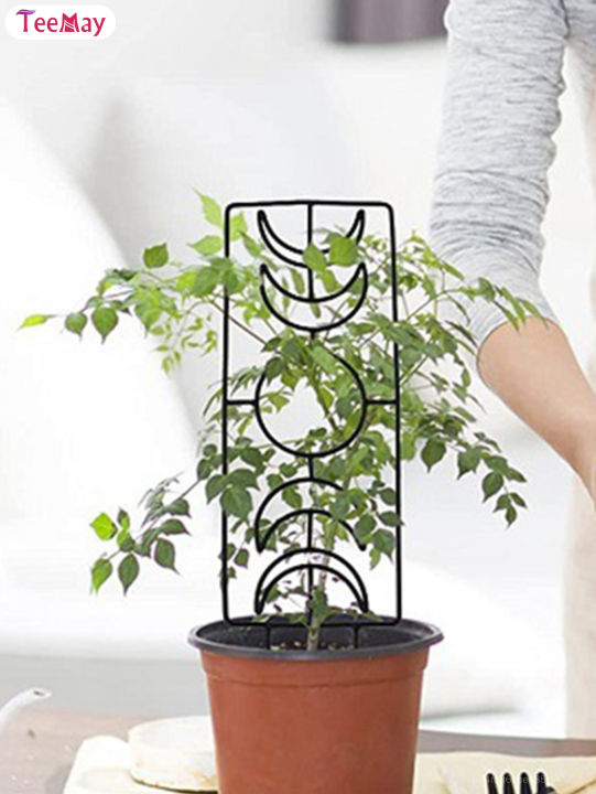 Teemay Moon Phase Plant Trellis Reinforced Vertical Metal Wire Trellis