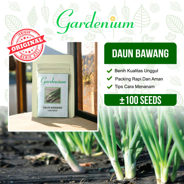 Gardenium Benih Daun Bawang Unggul Lazada Indonesia