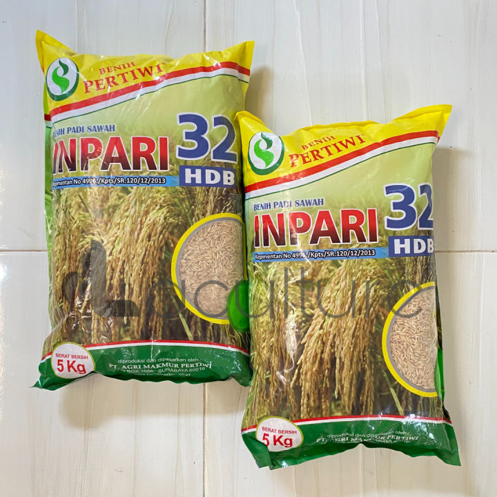 Benih Padi Sawah Unggul INPARI 32 HDB 5kg Benih Pertiwi Lazada Indonesia