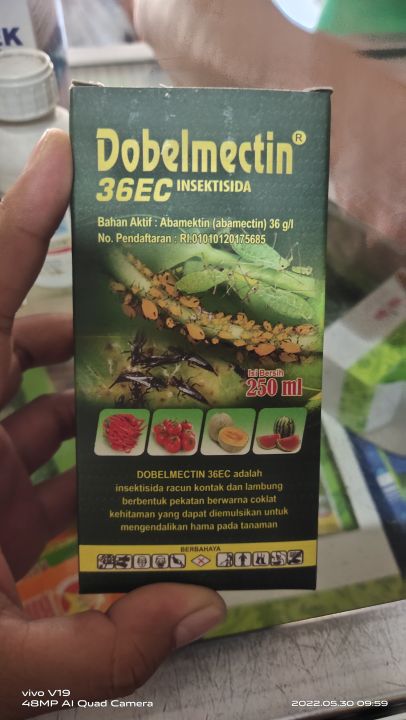 Insektisida Dobelmectin Ec Ml Lazada Indonesia