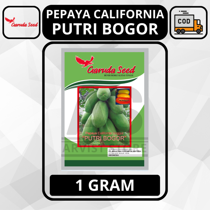 Benih Bibit Pepaya California PUTRI BOGOR Kemasan Pabrik 1 Gram Biji