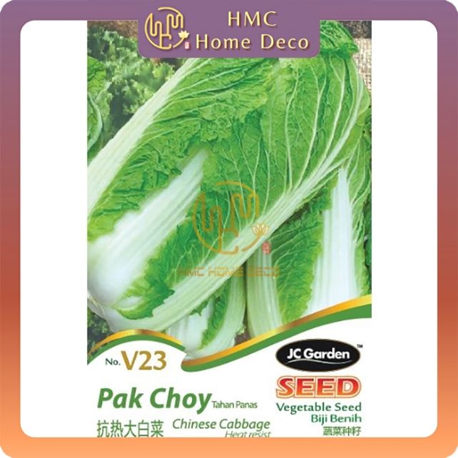 V23 CHINESE CABBAGE HEAT RESIST JC GARDEN VEGETABLE SEED BIJI BENIH