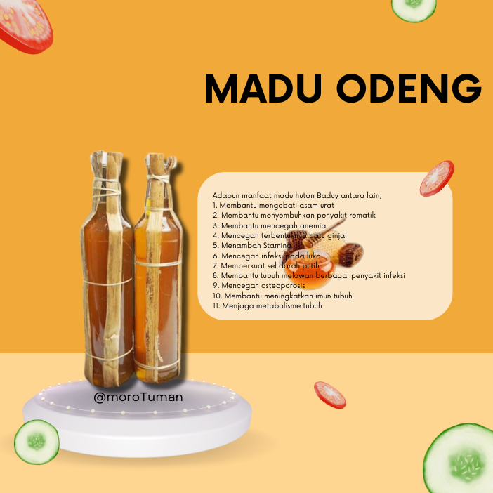 Madu Hutan Murni Kg Kg Honey Sialang Asli Murni Tanpa Campura