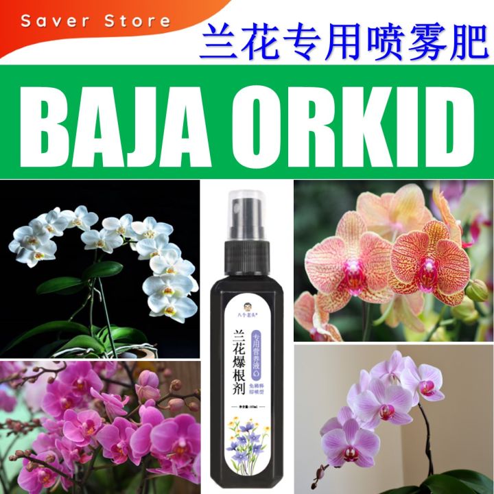 Orchid Spray Serbajadi Orchid Growth Booster Baja Pengalak Pertumbuhan