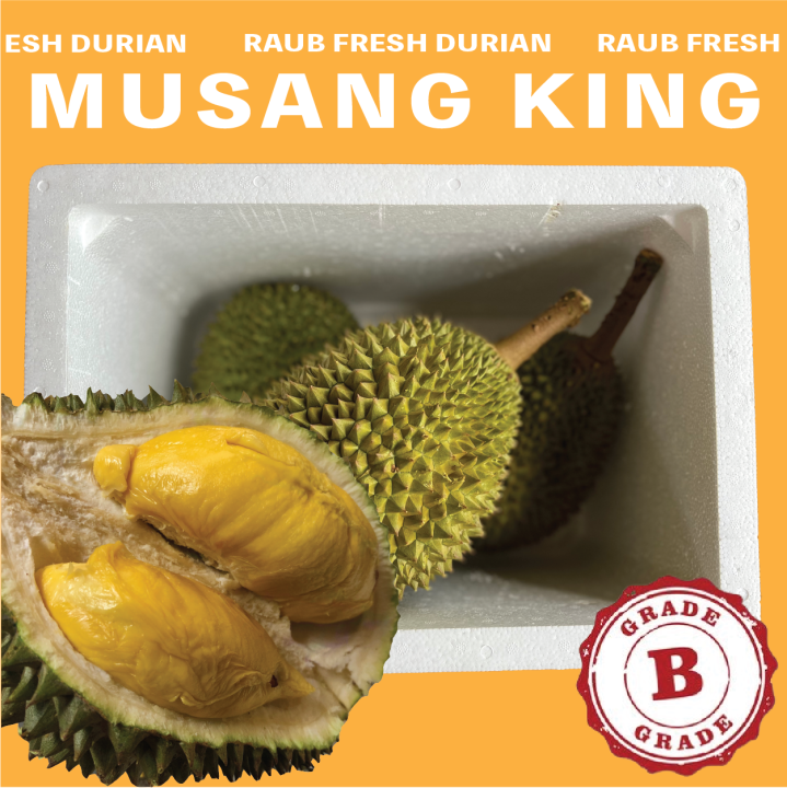 Grade B Fresh Raub Musang King Durian Kg Kg Grade B Premium