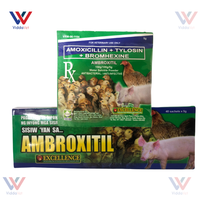 Ambroxitil Water Soluble Powder 5 G For Swine Poultry Gamefowl Sold