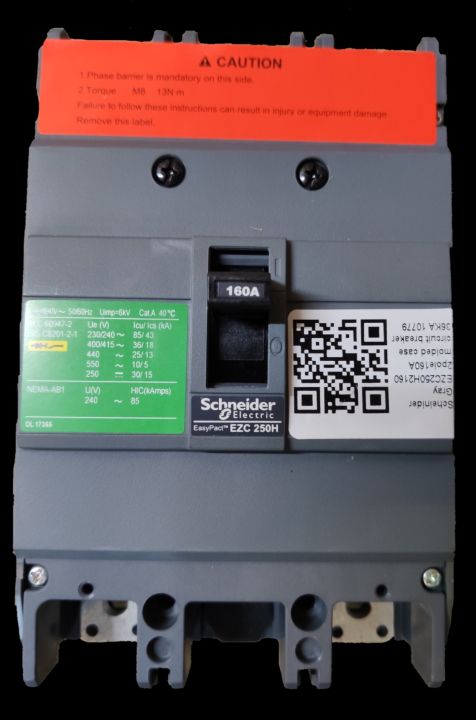 Schneider 160A 2 Pole Breaker Industrial Easy Pact 160A Single Phase