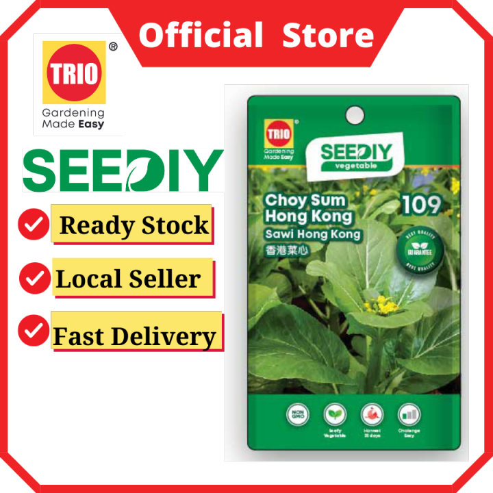 TRIO SEEDIY Choy Sum Hong Kong 香港菜心 Sawi Hong kong 109 veggie seeds