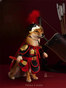 PETSTAR | Warrior Costume with Hat Pet Armor COS Suit