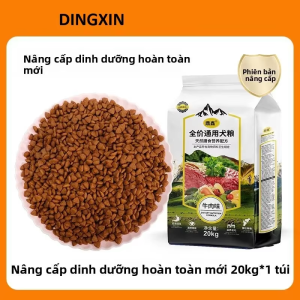 DINGXIN | Thức Ăn Cho Chó Giống Lớn và Vừa Tất Cả Giai Đoạn
