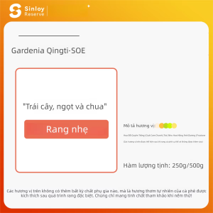 SINLOY|Cà phê hạt Ethiopia SOE Xinlu hương hoa dành dành và nho xanh 250g/500g