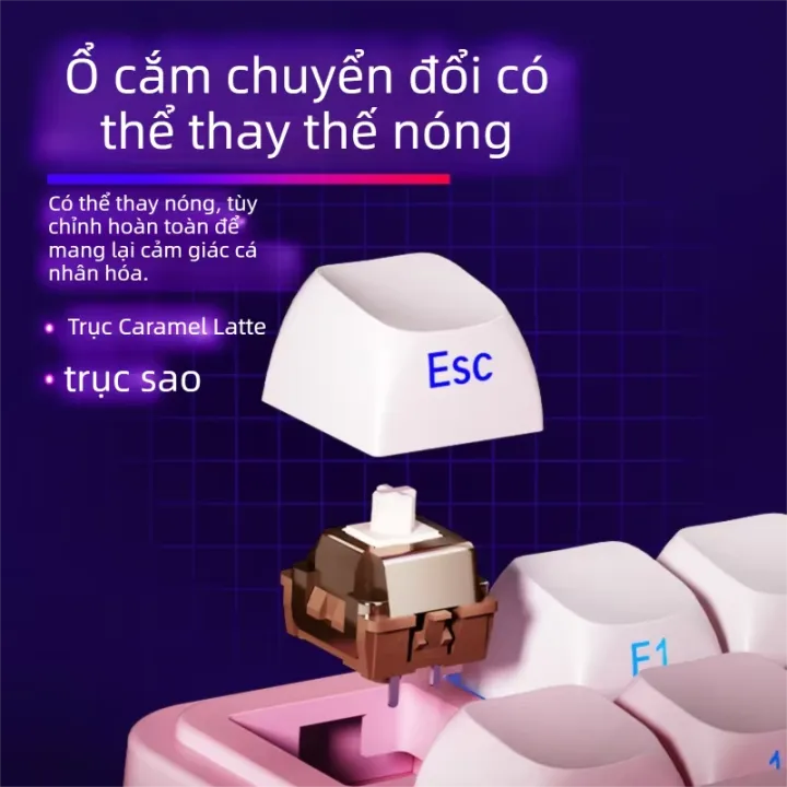 AULA | Bàn phím cơ AULA S75 PRO - Kết nối 3 chế độ (Tri-mode), Layout 75%, Tích hợp màn hình hiển thị | BigBuy360 - bigbuy360.vn AULA | Bàn phím cơ AULA S75 PRO - Kết nối 3 chế độ (Tri-mode), Layout 75%, Tích hợp màn hình hiển thị | BigBuy360 - bigbuy360.vn