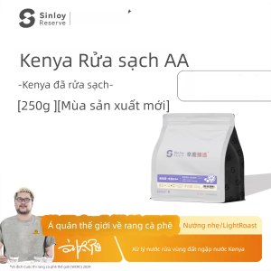 Sinloy Coffee |Hạt cà phê cao cấp Kenya Njeri AA+ hạt cà phê nguyên chất nhập khẩu 250g
