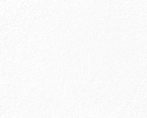 B&W | Giá Đựng Dĩa Inox