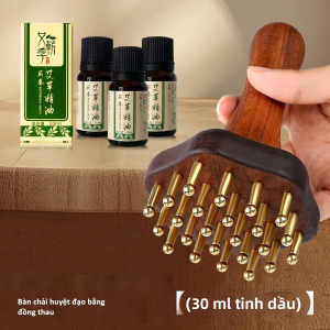 Bàn chải huyệt đạo bằng đồng thau nguyên chất Xoa Bóp Huyệt Đạo Thắt Lưng