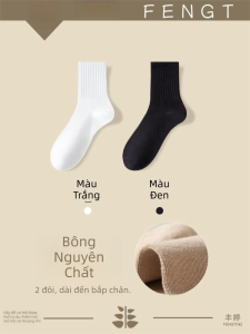 FENGTING | Vớ Nữ Thấm Mồ Hôi Chống Hôi