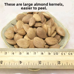 Wild Bitter Mountain Apricot Kernel 500g