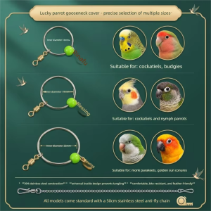 Hadassah | Parrot Training Lead Super Lightweight And Paw-Friendly