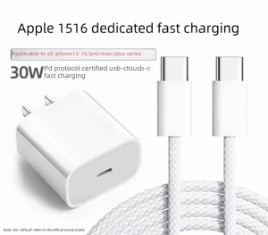 ARUDDI | Fast Charging Adapter Braided Data Cable Dual Type-C Ports