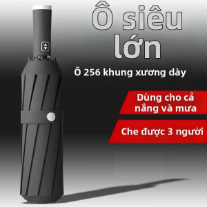 Ben.C | Ô Dù Tự Động Chống Gió Mạnh