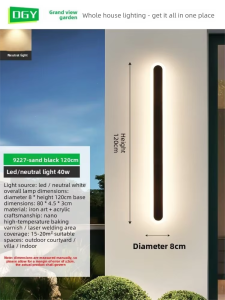 DGY | Waterproof Outdoor Wall Light