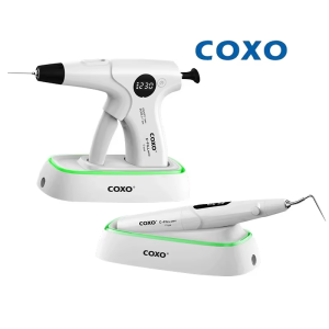 COXO C-FILL Mini Dental Endodontic Obturation System Tube Root Filling System Backfill Wireless Melting Pen Canal Treatment