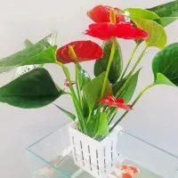 Aquarium Plant Holder Box Plant Basket Hanging Planter Growing Planter (White Colour)