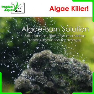 Algae-Burn kill algae aquarium fish tank plant treatment spray