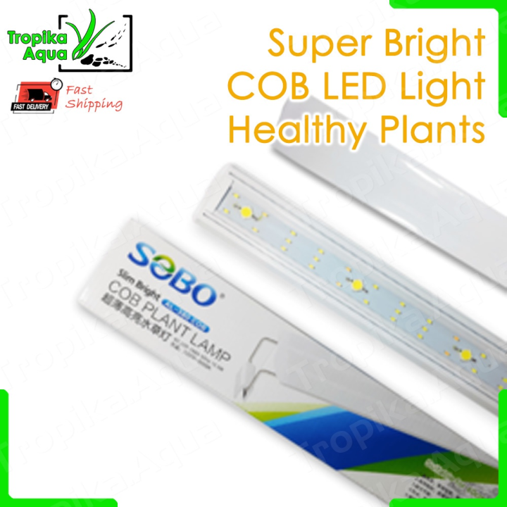 Sobo store led light