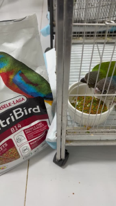 Versele-Laga Nutribird B14 pellets all-in-one (800g 1kg 3kg) Parrot Bird Feed(in stock)