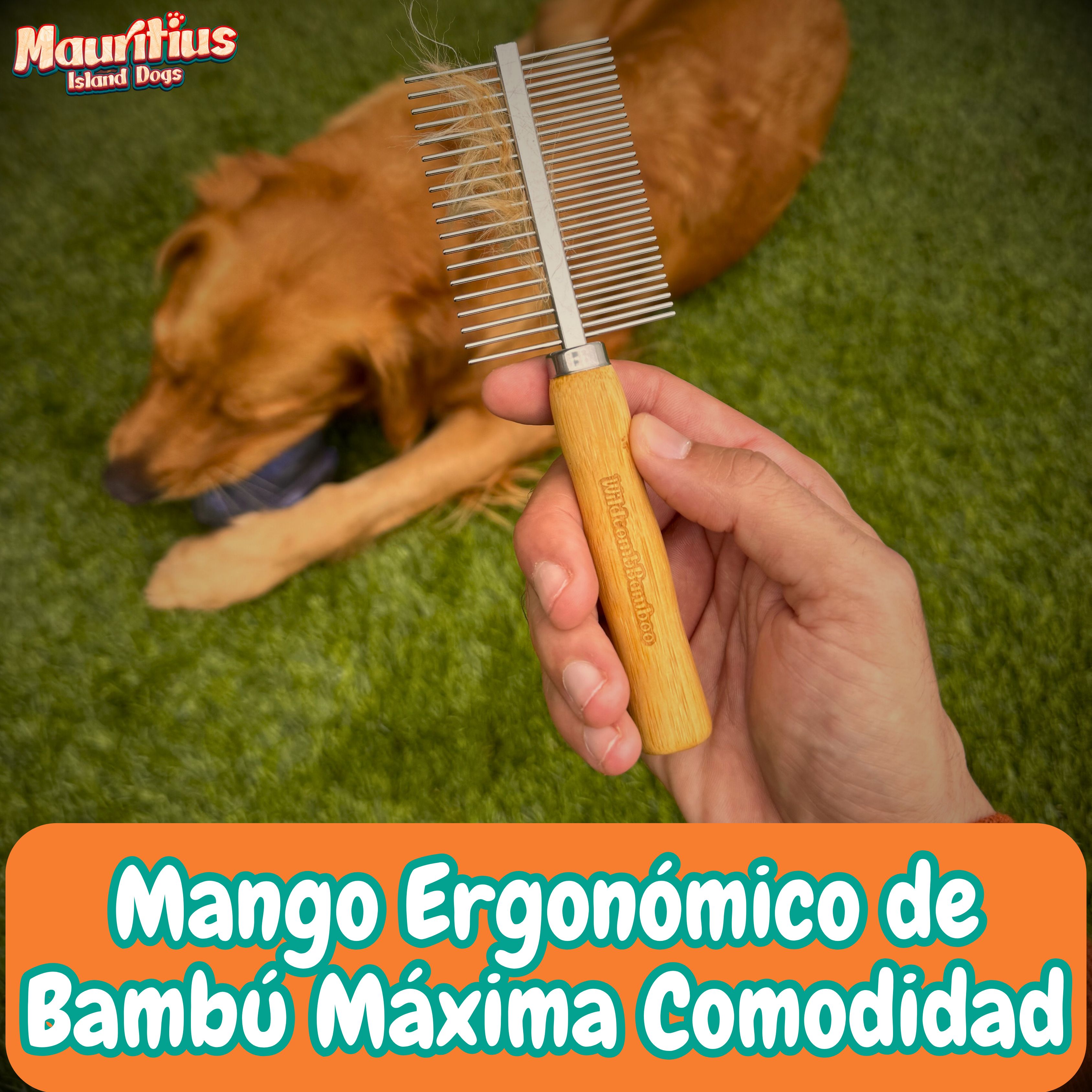 Inicio imagen de producto Peine Aseo Púas Dobles Bambú y Acero Inoxidable para Perros y Gatos Cepillo Madera Eco Pelo Largo Corto y Medio para Desenredar Estimular Resistente Anti Rotura Pelo Muerto (17x5cm) - 1