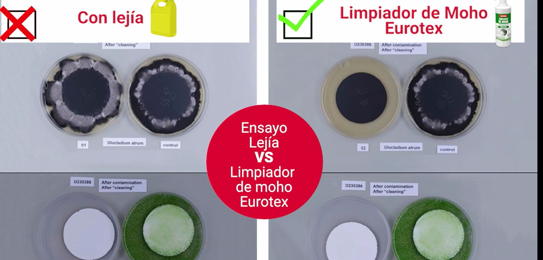 Pulverizador Limpiador de Moho en 1 litro - 1