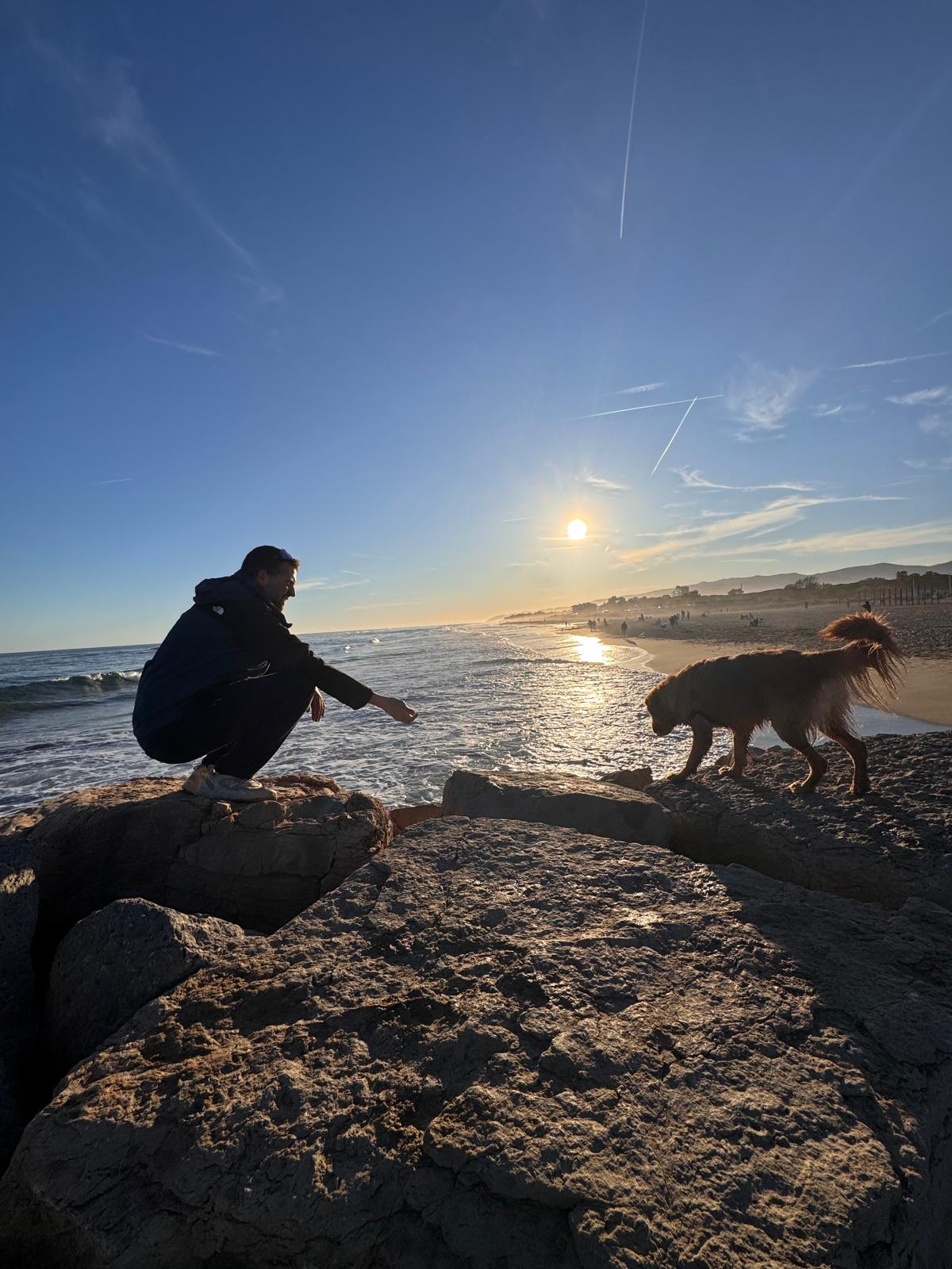 Suplemento 8 en 1 para Perros con Probióticos, Vitaminas, Glucosamina Condroitina, MSM, Colágeno, Aceite de Salmón y Mariscos para Mejorar su Vitalidad y Energía - 1