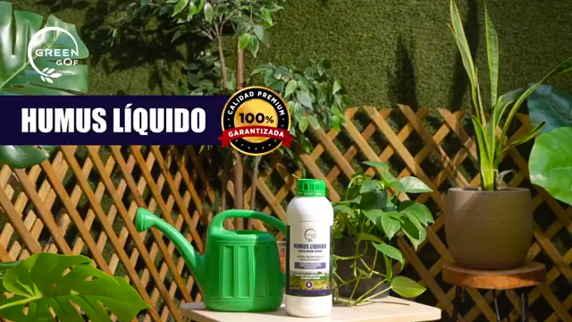 GREENGOF Humus Líquido de Lombriz Premium 20L. Enriquecido con Leonardita y Melaza. Fertilizante Rico en Microorganismos. Acelera el crecimiento de las Plantas. Aumenta tamaño y cantidad de Frutos. - 1