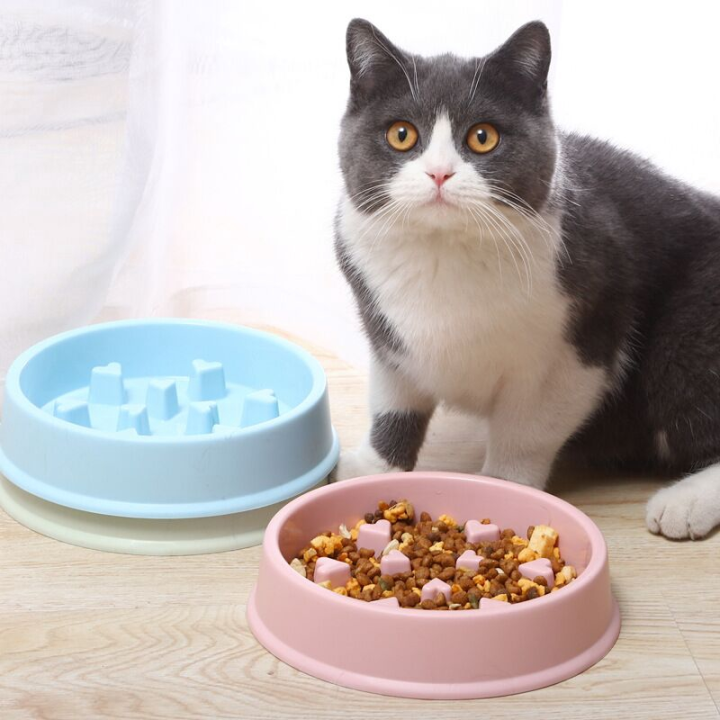 Japanese Pet 3D Slow Speed Anti Chock Feeder Bowl Lazada