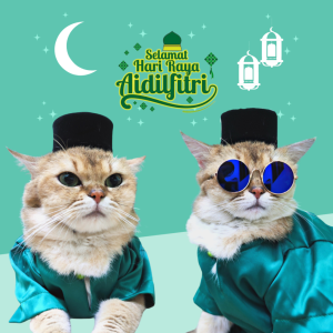 ♀Songkok Kucing Hitam Black Cat Songkok Costume Raya Hari Raya❋