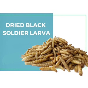 Mountain Village Rice Girl larva BSFL 600g - 5kg makanan ikan channahamsterhedgehog sugar gliderburungbetta