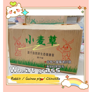 Mountain Village Rice Girl Premium dried Wheat grass hay 1kg net 750g Small Animal Wheat grass Hay 烘干小麦草 小麦草 1kg 干草 兔子龙猫荷兰猪 牧草小麦新草 干草【清酒家】